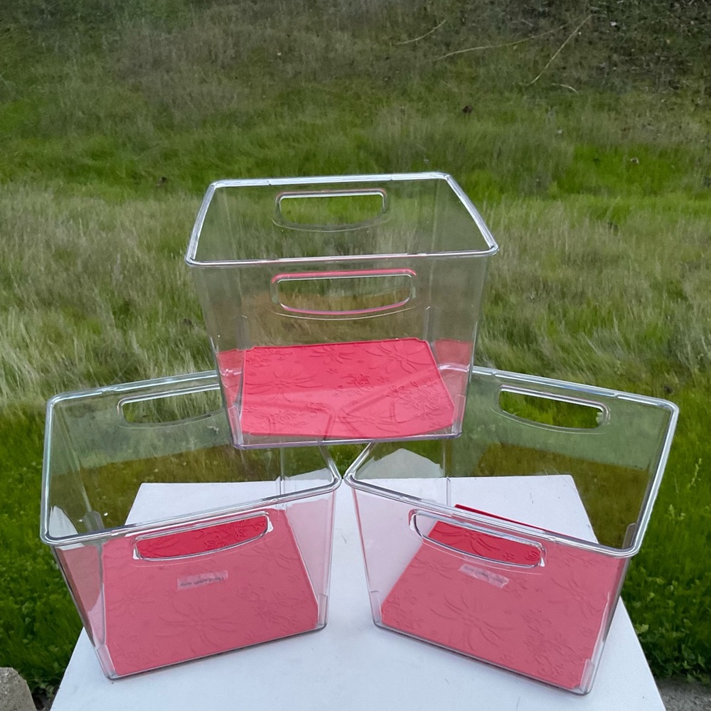 “New” Cella (Set of 3) Clear Fridge Produce Storage Bins W/Removable Red Liner
